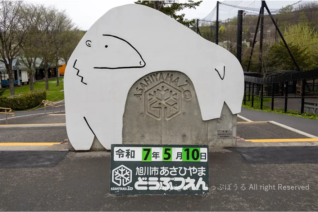 旭山動物園フォトスポット