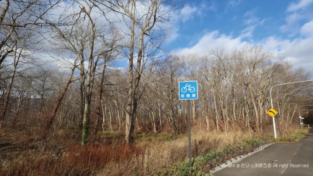 大沼公園レンタサイクル駐輪場