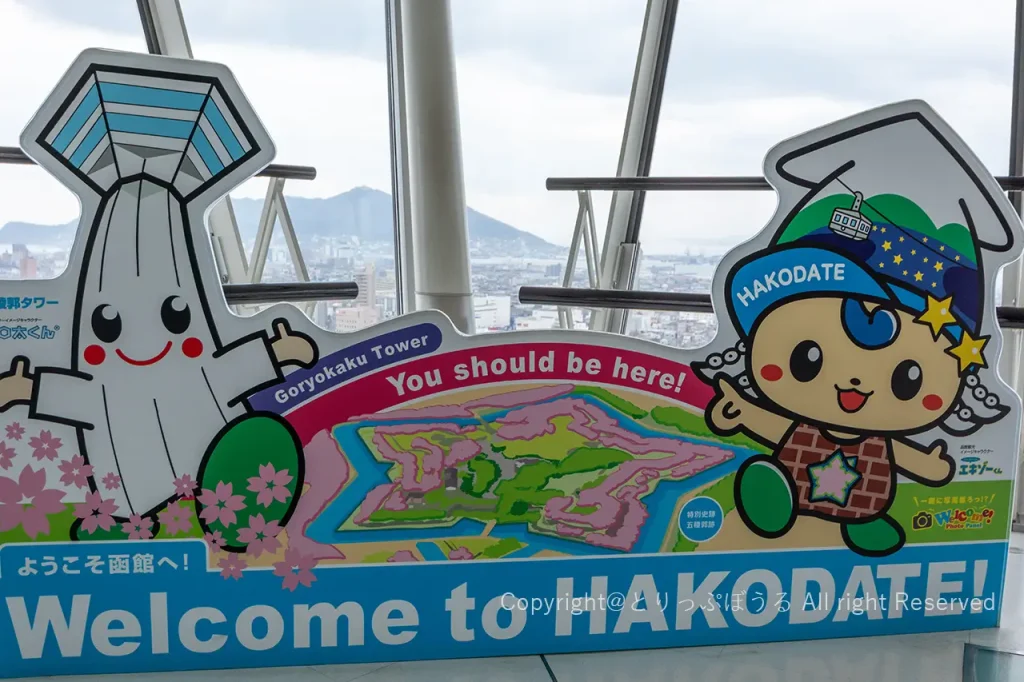 五稜郭タワー内のフォトスポット