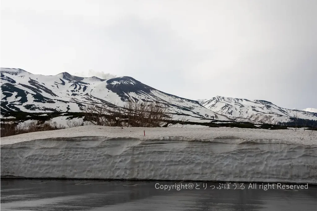 十勝岳望岳台駐車場と積雪