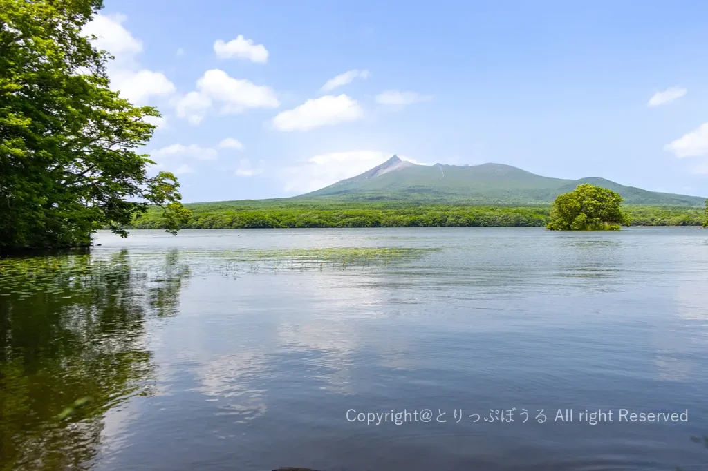 大沼公園サイクリング休憩所