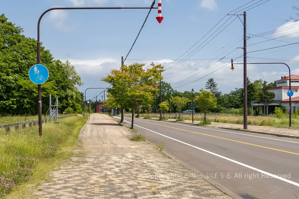 大沼公園レンタサイクル