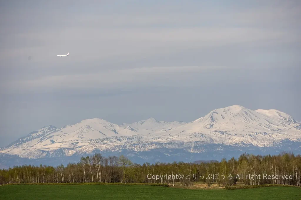 深山峠とJAL機と雪化粧