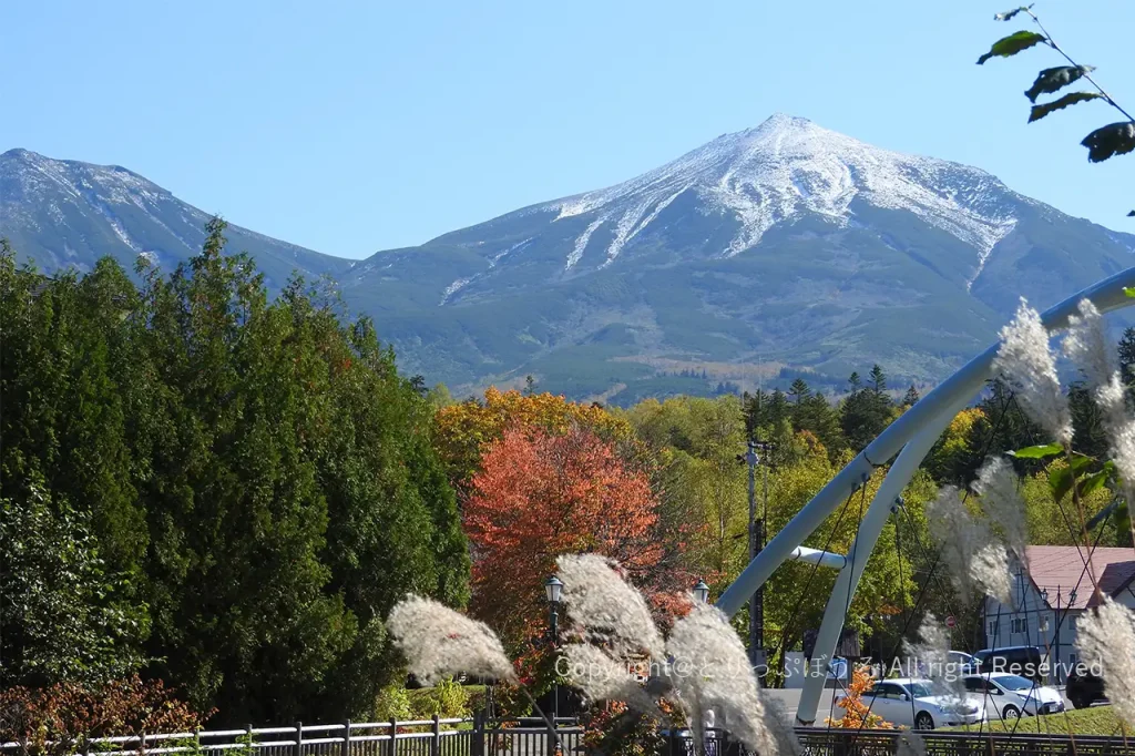 美瑛白ひげの滝風景