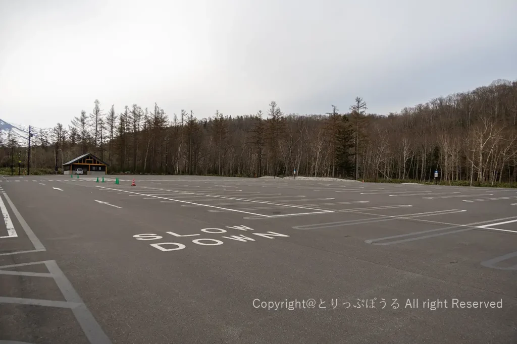 青い池駐車場