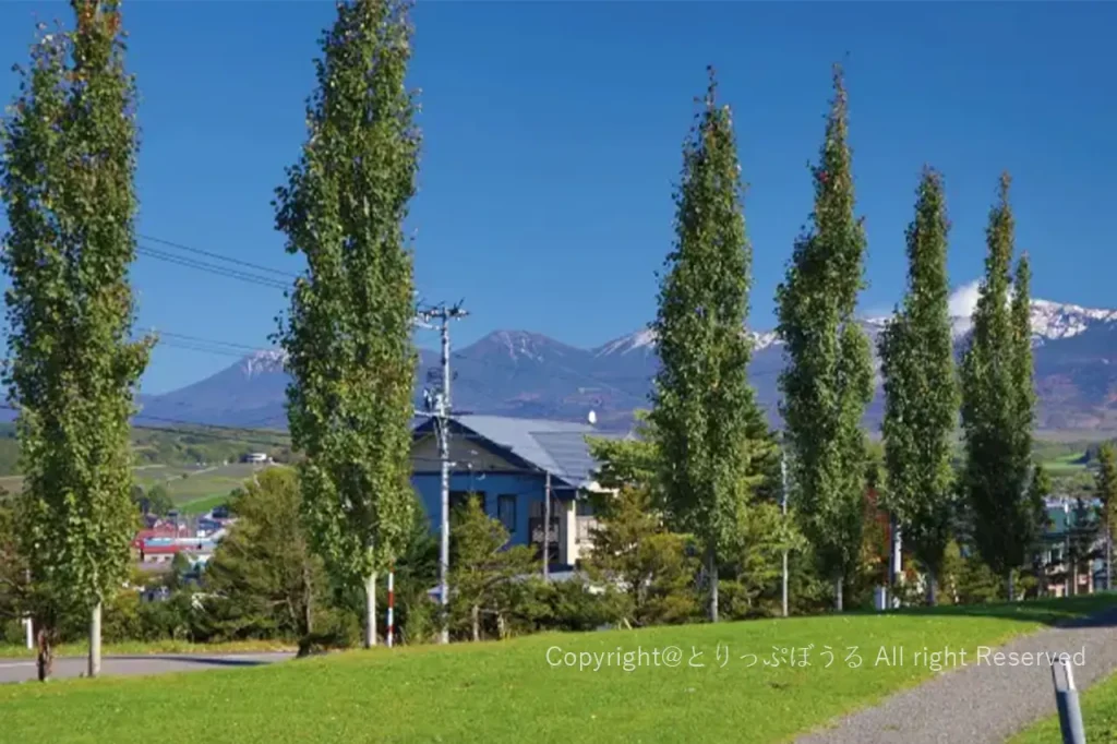 上富良野町見晴台10月の景色