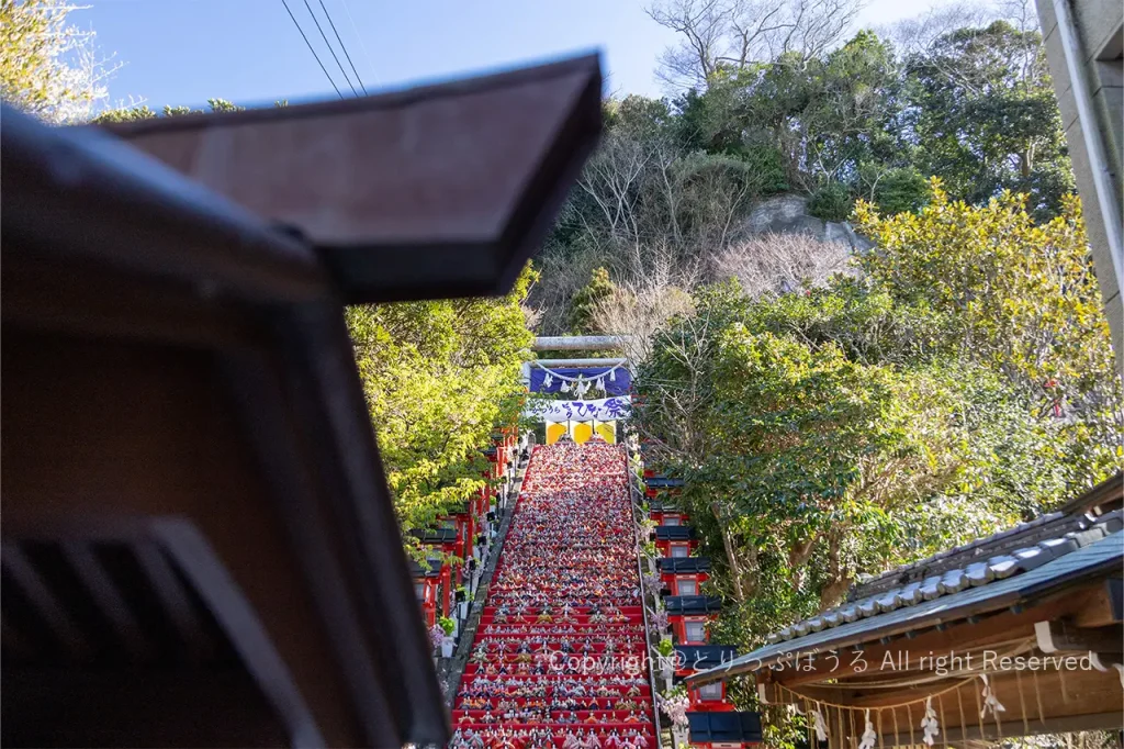 勝浦遠見岬神社の階段雛