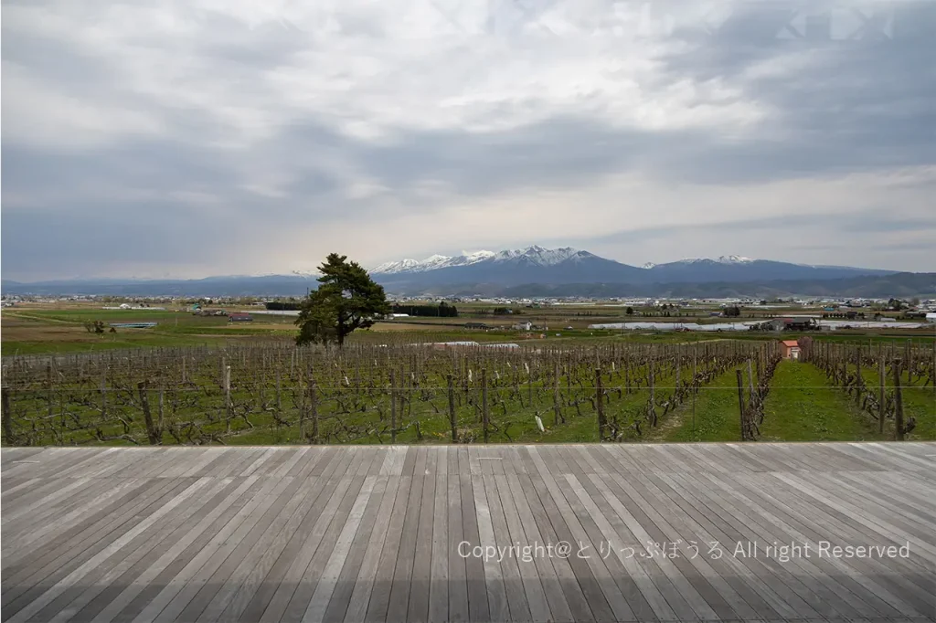富良野カンパーナ六花亭風景