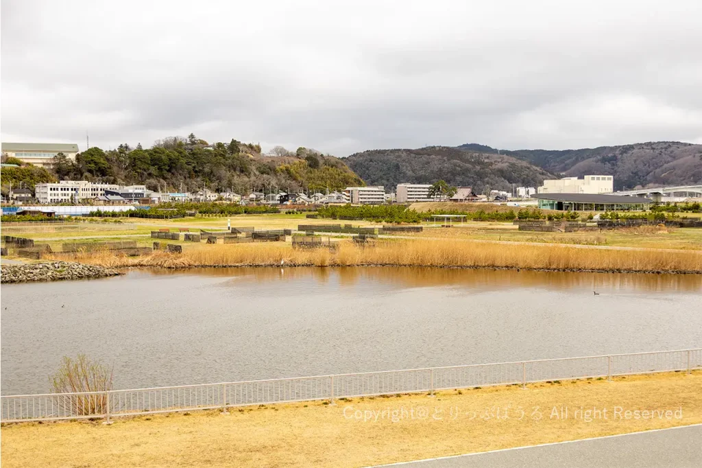 石巻南浜津波復興祈念公園